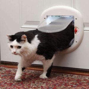 PetSafe Exterior / Interior Cat Door: Staywell Big Cat 4-Way Locking Pet Door Flap for Large Cats